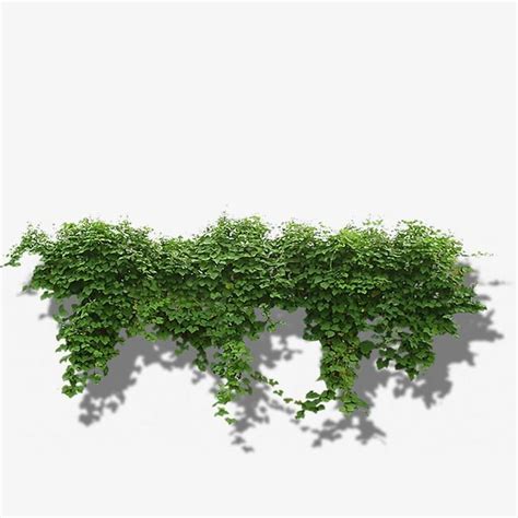 png tree|Millions of PNG Images, Backgrounds and Vectors for Free .